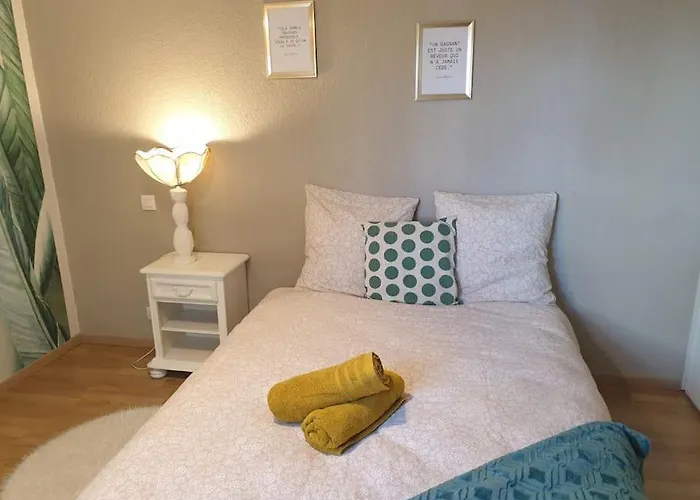 Appartamento Cosy Opal - T3 - Terrasse&stationnement Gratuit Pau